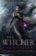Witcher: Time of Contempt
