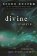 Divine Matrix