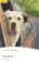 PER | Level 2: Marley and Me