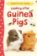 Looking After Guinea Pig