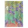 Van Gogh’s Irises / Van Gogh’s Irises / Grande / Sketchbooks