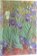 Van Gogh’s Irises Midi Adresář