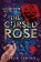 The Bone Spindle 3 : The Cursed Rose