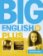 Big English Plus 6 Teacher´s Book