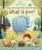 Lift-The-Flap Very First Questions & Answers : What is Poo?