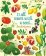 It All Starts with a Seed...how food grows