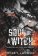 Soul of a Witch: A Spicy Dark Demon Romance