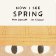 Now I See Spring