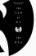 The Tao of Wu