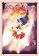 Sailor Moon 3 (Naoko Takeuchi Collection)