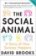 The Social Animal : A Story of How Success Happens