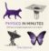 Physics In Minute