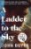 A Ladder to the Sky
