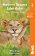 Severní Tanzánie (Northern Tanzania: Safari) průvodce 4th Bradt