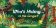 Who´s Hiding in the Jungle? : A Spot and Match Game