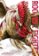 Rooster Fighter, Vol. 7