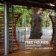 Tree Houses