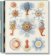 cl-Art and Science of Ernst Haeckel