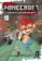 Minecraft 10