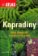 Kapradiny - Atlas domácích a exotických druhů