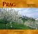 Prag - brožovaná (bez DVD)