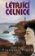 Létající celnice