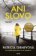 Ani slovo