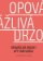 Opovážlivá drzost být sám sebou