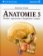 Anatomie 3