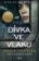 Dívka ve vlaku