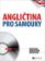 Angličtina pro samouky + CD MP3