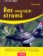 Řez ovocných stromů - Zahrada plus