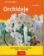 Orchideje - Zahrada plus