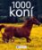 1000 koní - 2. vydání
