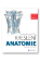 Praktický průvodce kreslení - Anatomie