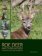 Roe Deer and their Antlers - A Stalker´s lifetime experience