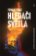 Hledači světla