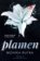 Plamen