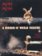 A Mirror of World Theatre II: The Prague quadrennial 1995 and 1999