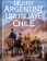 Dějiny Argentiny,Uruguaye,Chile