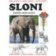 Sloni