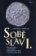 SOBĚSLAV I.