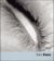 Tono Stano