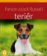 Parson a Jack Russell teriér - Jak na to