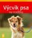 Výcvik psa na vodítku - Jak na to