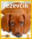 Jezevčík