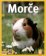 Morče - Správná péče, rady odborníka...