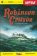 Robinson Crusoe - Zrcadlová četba