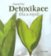 Detoxikace těla a mysli