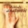 Základy anatomie